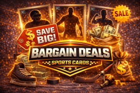 bargain-deals-cat